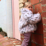 Mini Boston in Polka