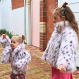 Mini Boston in Polka