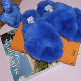 The Slippers in Cobalt
