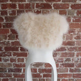 Plume Champagne Feather Bolero - Mode & Affaire